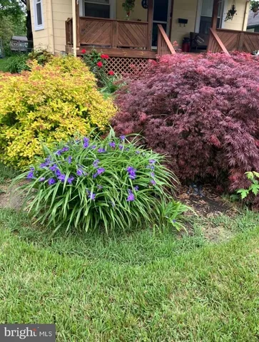 a view of a flower arrangement in backyard
