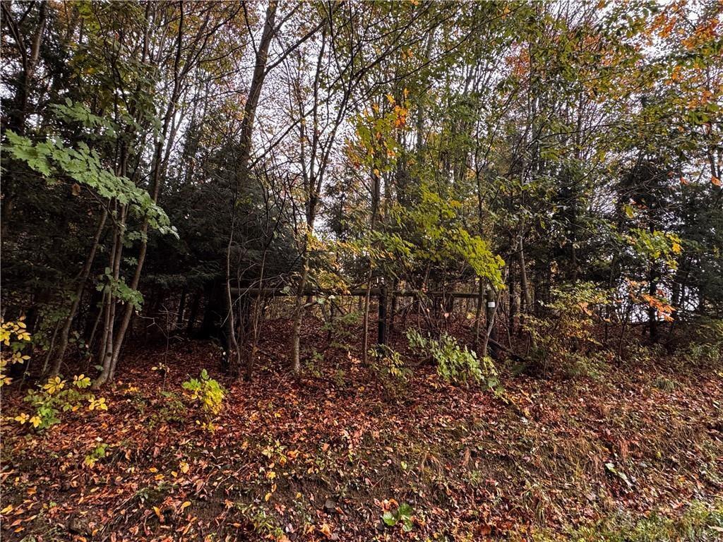 Lot 1 Dobbs Road Athens, PA 16438 - Photo 2 of 10 Gallery Image 2