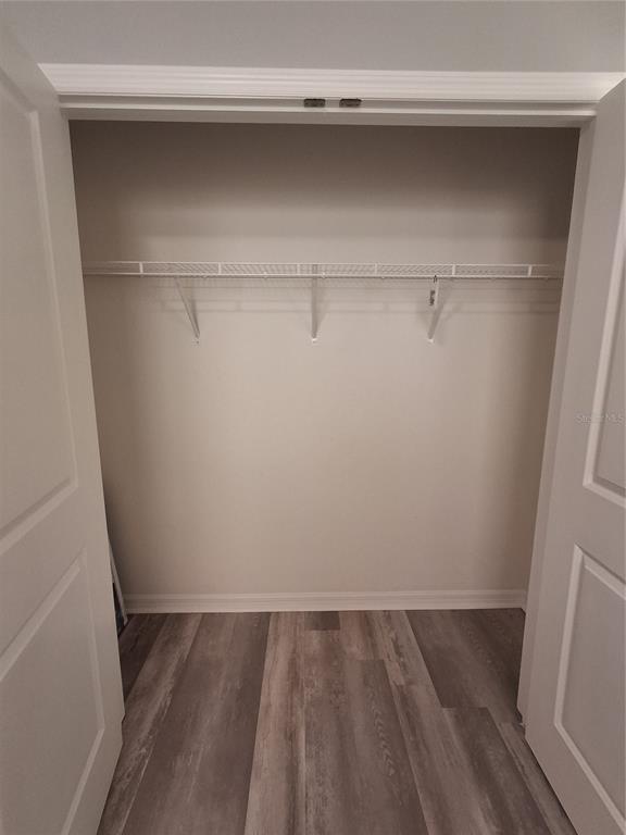 7891 Stonebrook Circle Wesley Chapel, FL 33545 - Photo 29 of 39 a view of a walk in closet