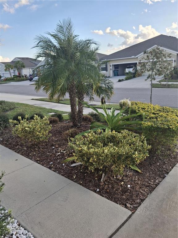 7891 Stonebrook Circle Wesley Chapel, FL 33545 - Photo 39 of 39 a view of a garden with a pathway