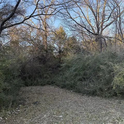 a view of a forest with lots of trees