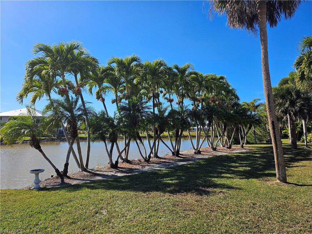 7791 Grande Pine Road Bokeelia, FL 33922 - Photo 14 of 45 a view of a park