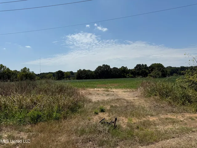 $200,000 | 0 South Old Highway, Hernando, MS 38632