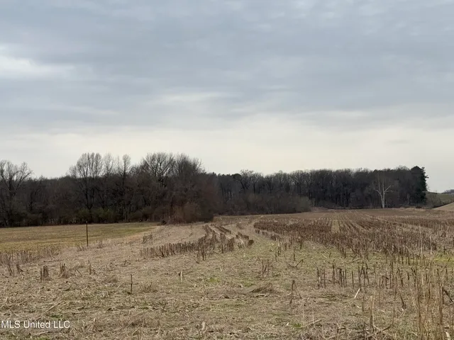 $200,000 | 0 South Old Highway, Hernando, MS 38632