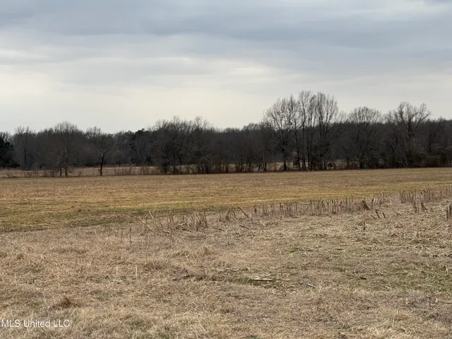 $200,000 | 0 South Old Highway, Hernando, MS 38632