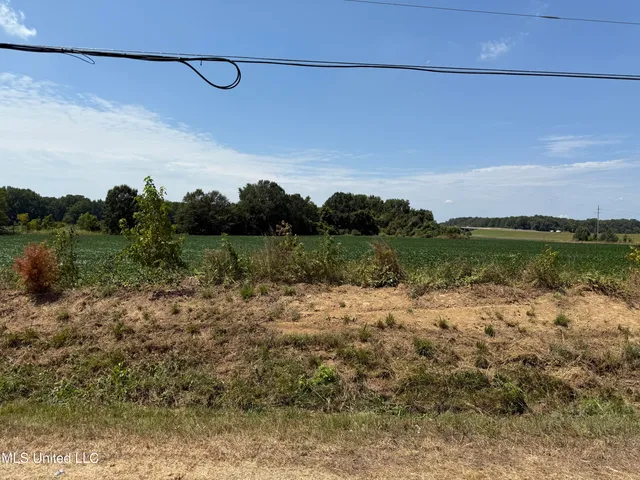 $200,000 | 0 South Old Highway, Hernando, MS 38632
