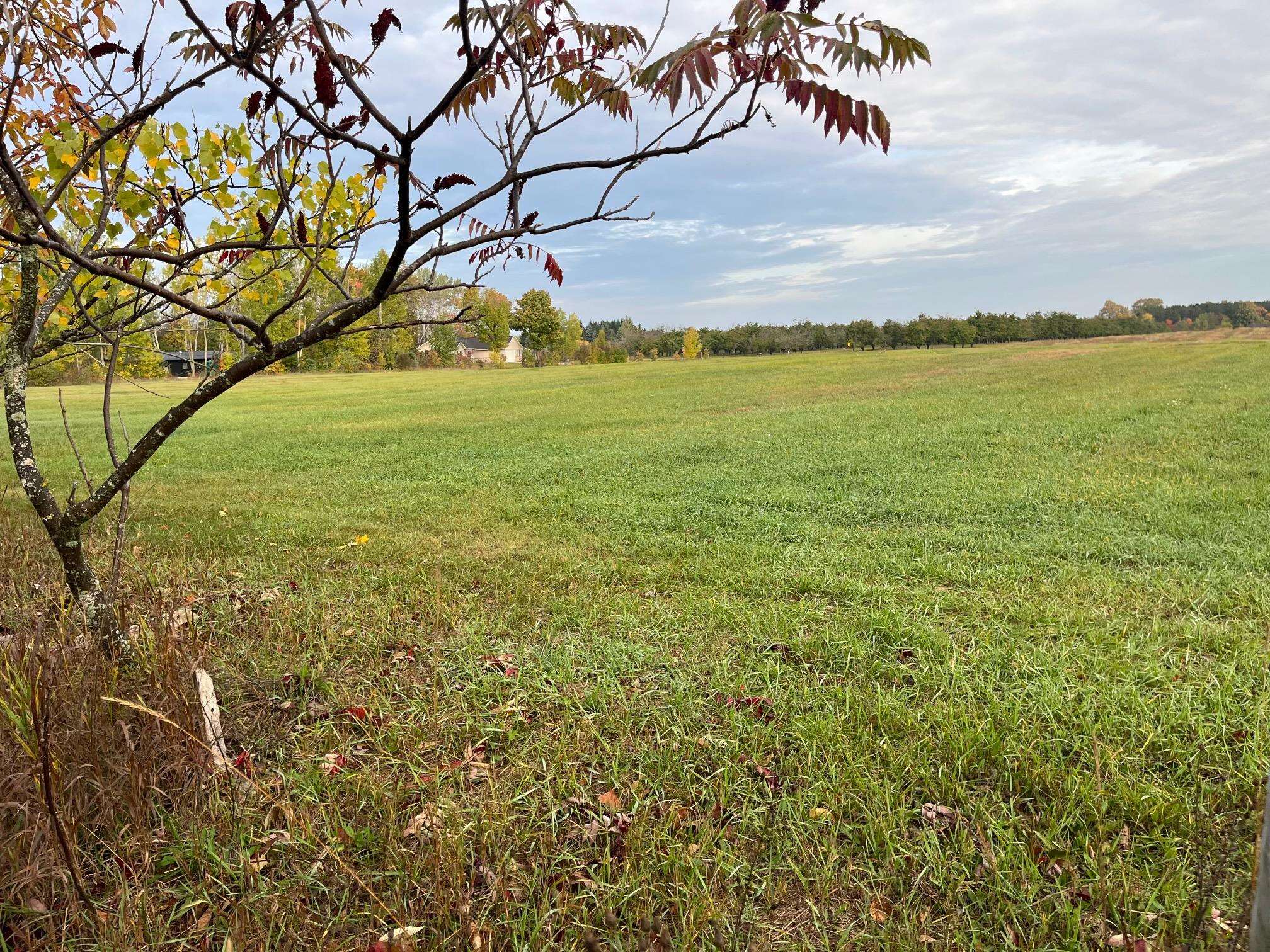 0 East Cherry Cedar, MI 49621 - Photo 8 of 8 1916814-7.JPG
