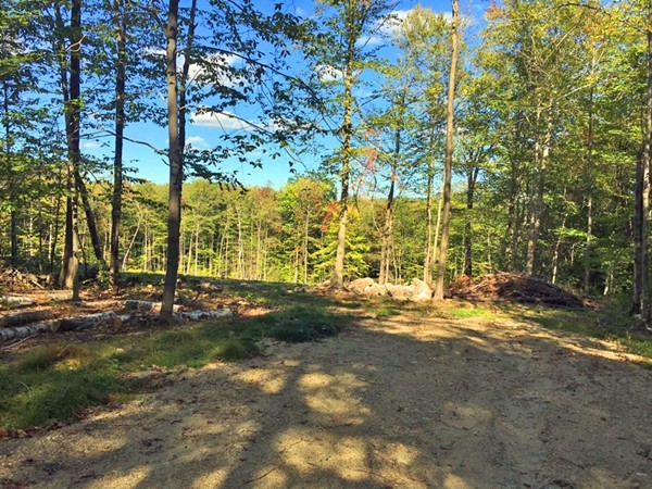 Lot 3 Locke Hill Road Wendell, MA 01379 - Photo 10 of 20 Gallery Image 10