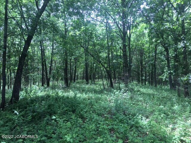 4533 State Rd Jj Fulton, MO 65251 - Photo 58 of 60