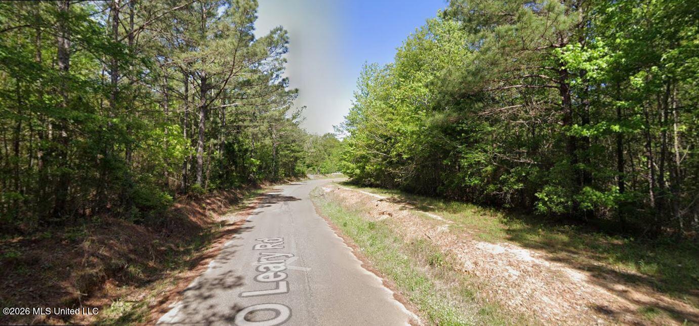 O Leary Road Camden, MS 39045 - Photo 3 of 4 Google Photo 3