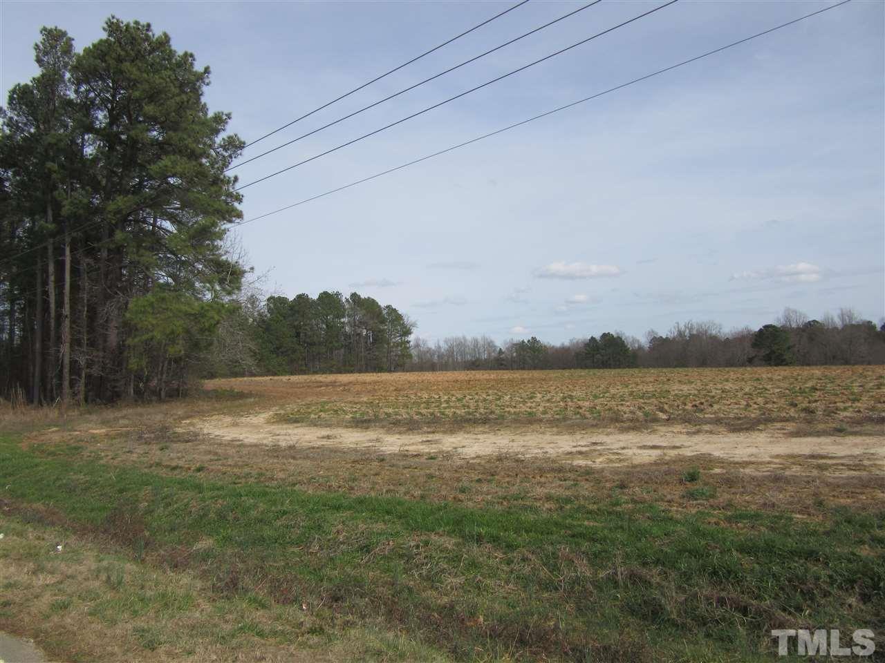 1 Morphus Bridge Road Wendell, NC 27591 - Photo 1 of 4 Gallery Image 1