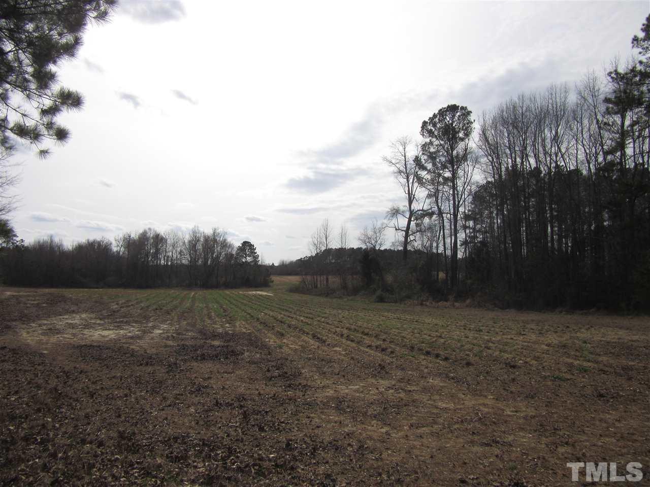 1 Morphus Bridge Road Wendell, NC 27591 - Photo 3 of 4 Gallery Image 3