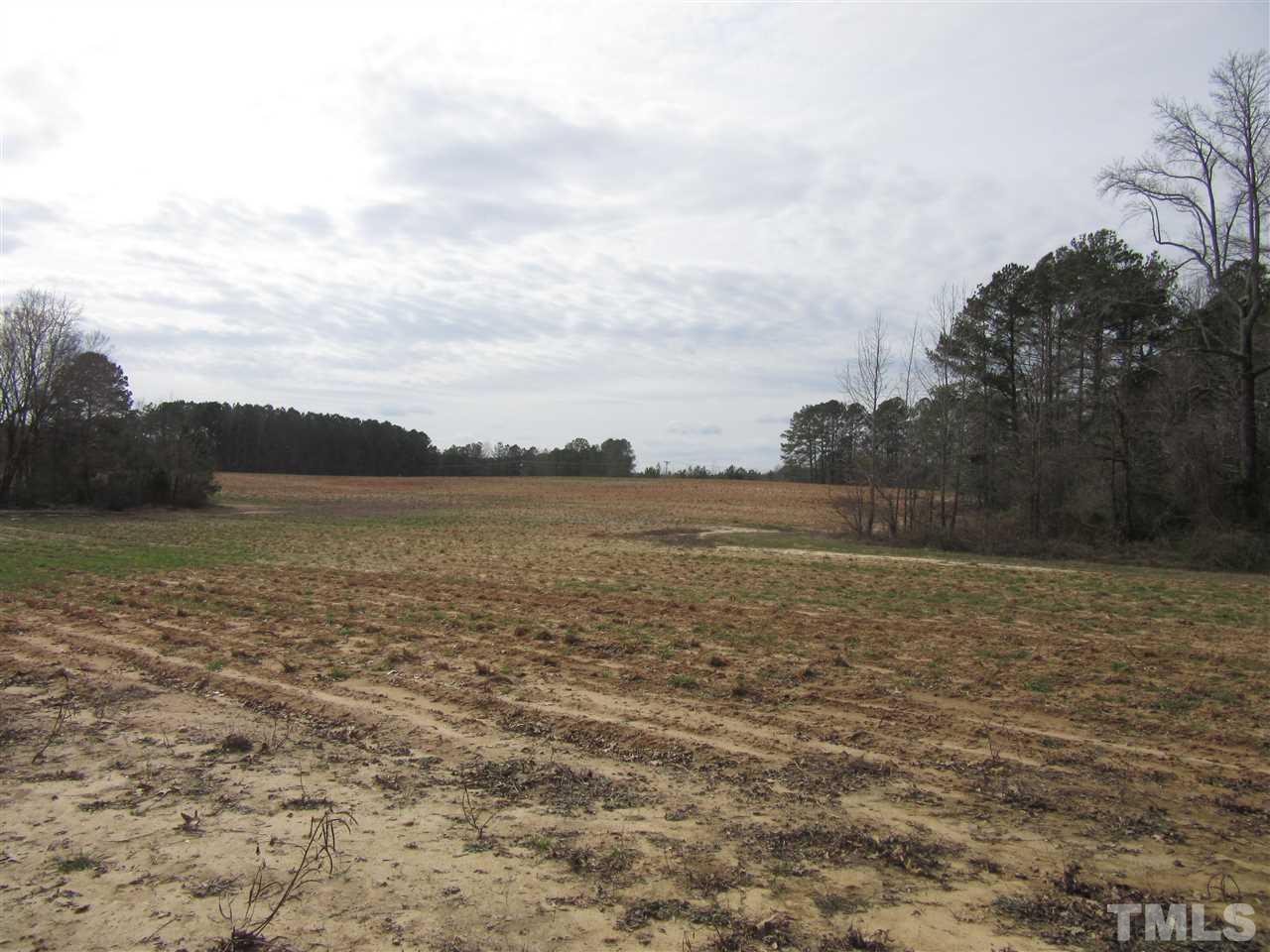 1 Morphus Bridge Road Wendell, NC 27591 - Photo 4 of 4 Gallery Image 4