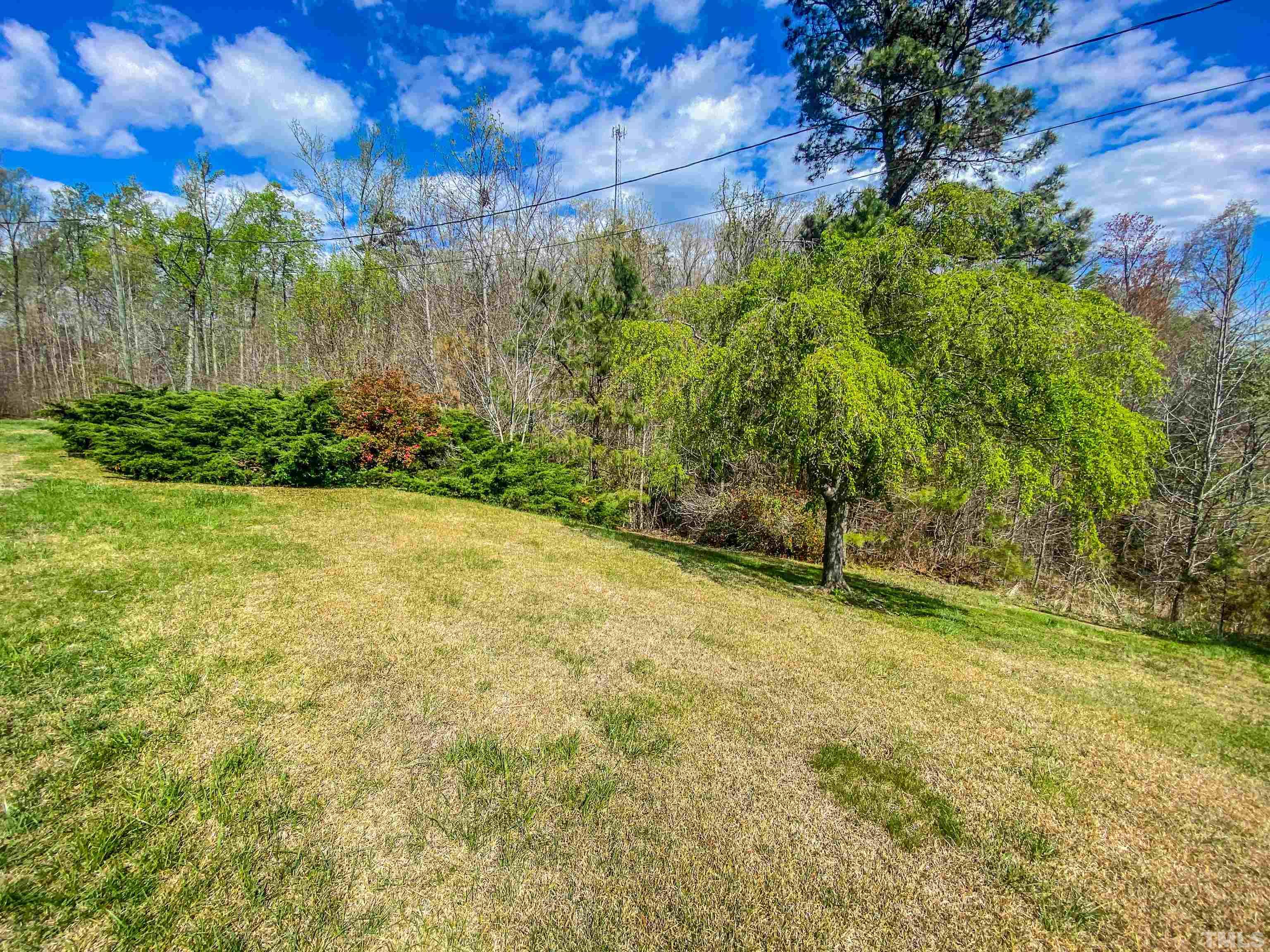 9639 Boston Road Roxboro, NC 27574 - Photo 49 of 52 a view of a yard with a tree