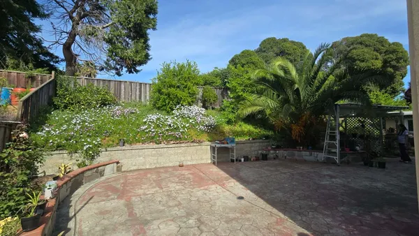 a view of a yard with plants and trees