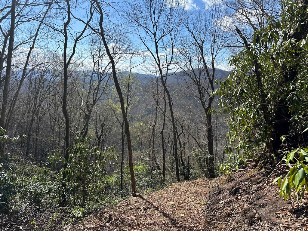 Lot 5 Huffman Creek Road Robbinsville, NC 28771 - Photo 7 of 13