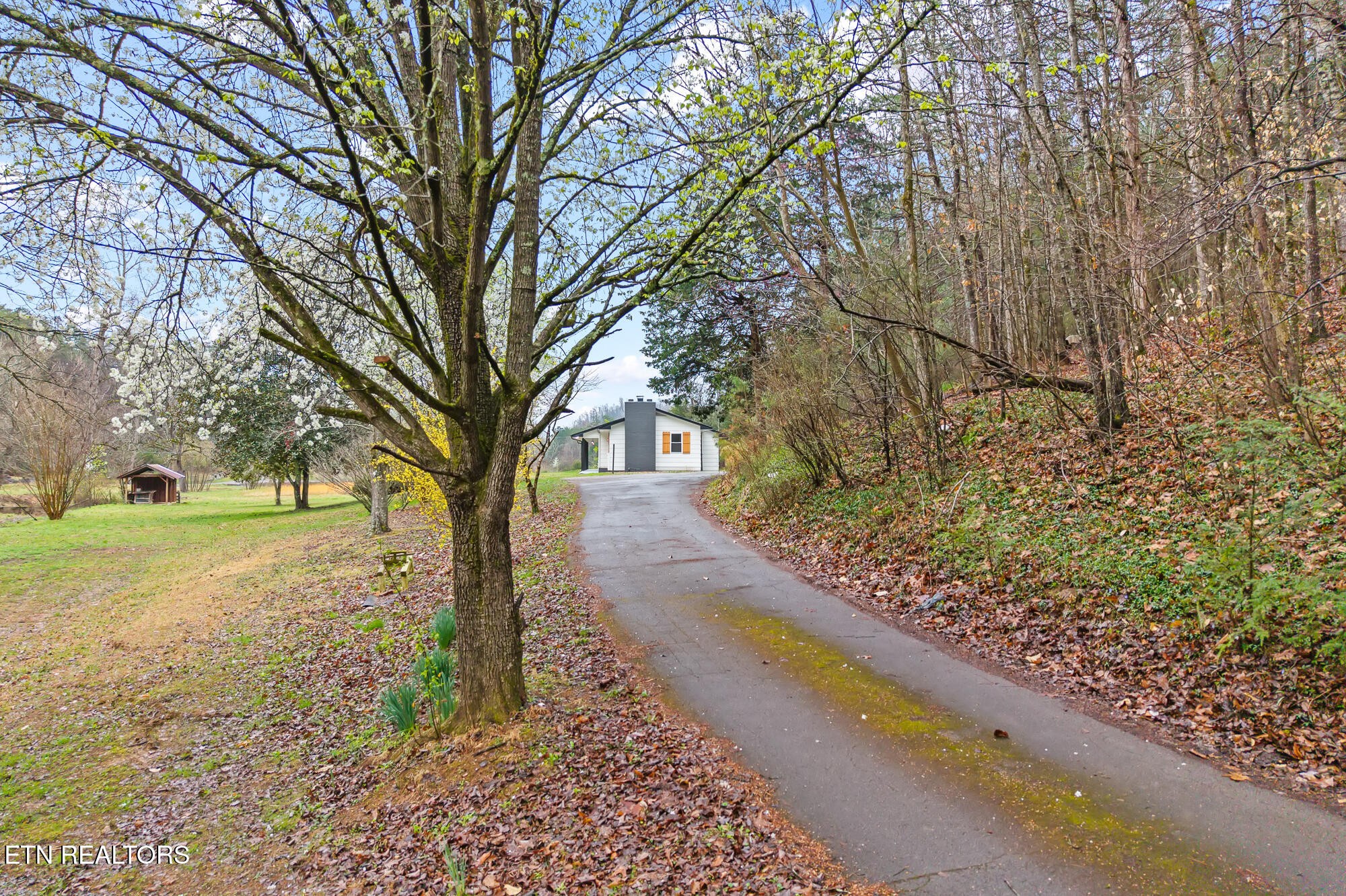 144 Cagle Road Tellico Plains, TN 37385 - Photo 6 of 34