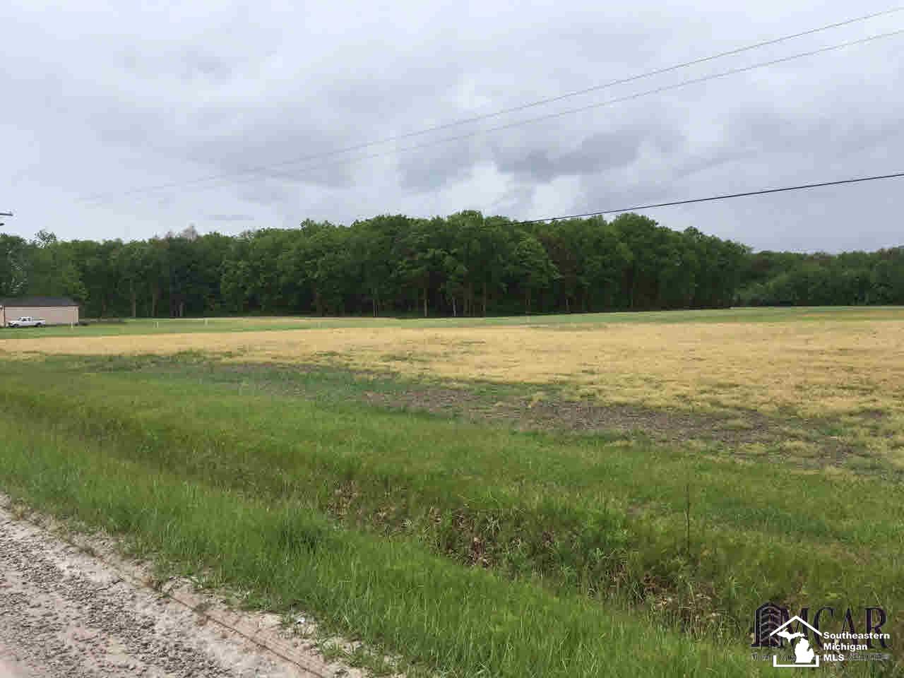 1 Hoffman Road Maybee, MI 48159 - Photo 3 of 4