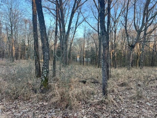 11757 Macon Road Eads, TN 38028 - Photo 4 of 9 a view of a forest filled with trees