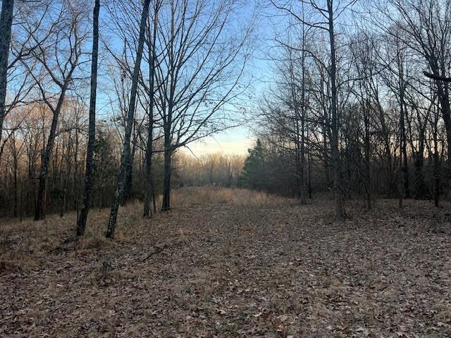 11757 Macon Road Eads, TN 38028 - Photo 5 of 9 a view of a forest with trees in the background