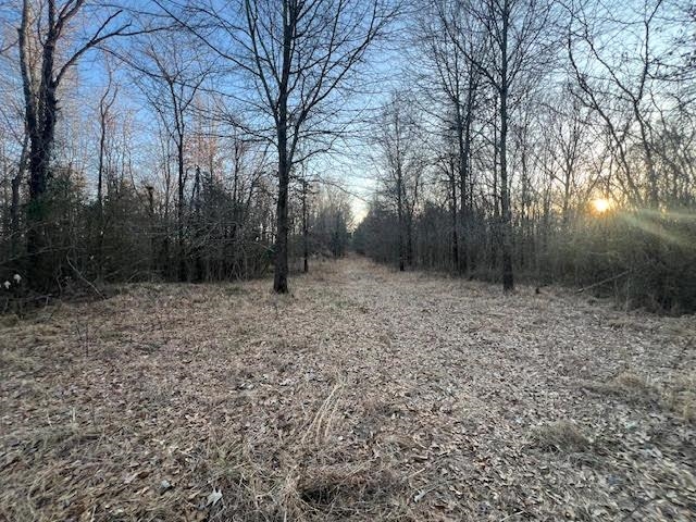 11757 Macon Road Eads, TN 38028 - Photo 6 of 9 a backyard of a house with lots of green space