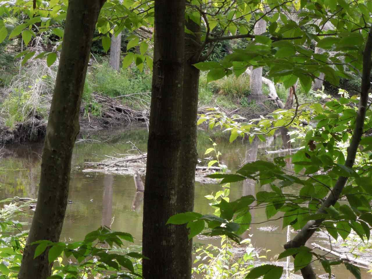 349 Loon Pond Road Gilmanton, NH 03237 - Photo 3 of 16
