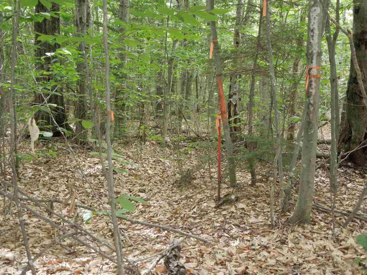 349 Loon Pond Road Gilmanton, NH 03237 - Photo 7 of 16