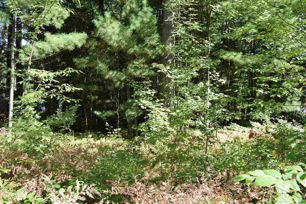 North W River Road Sanford, MI 48657 - Photo 1 of 5