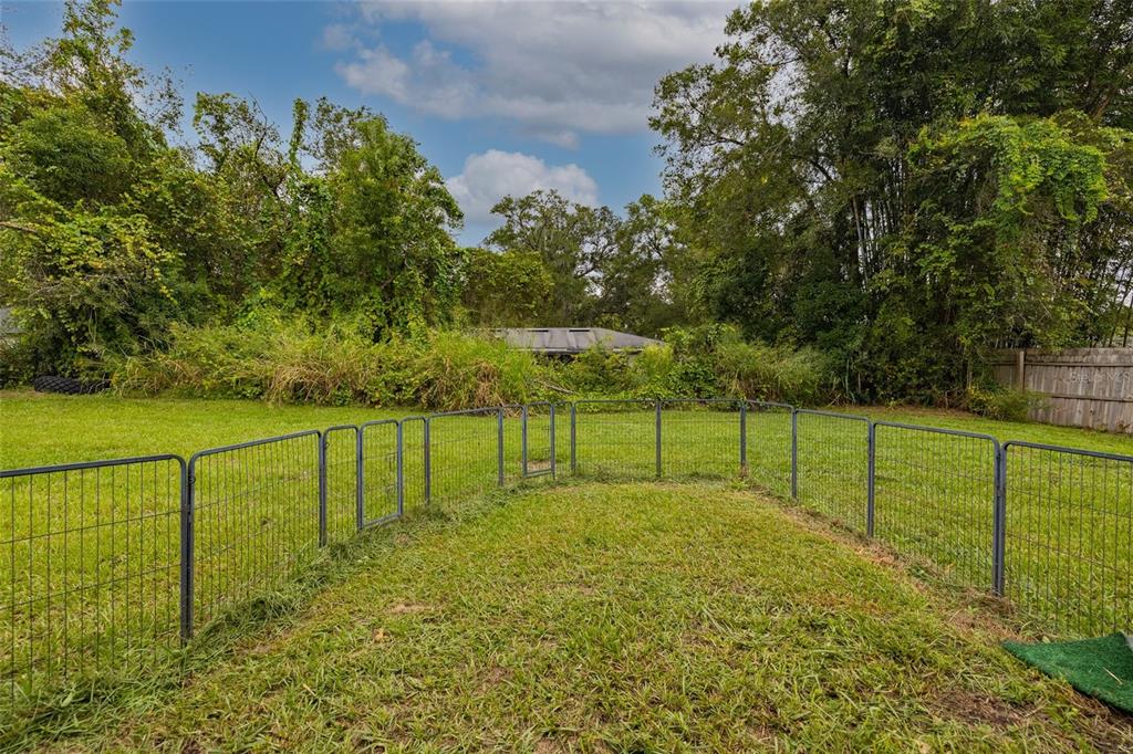 1171 9th Street Orange City, FL 32763 - Photo 17 of 27 a view of a garden