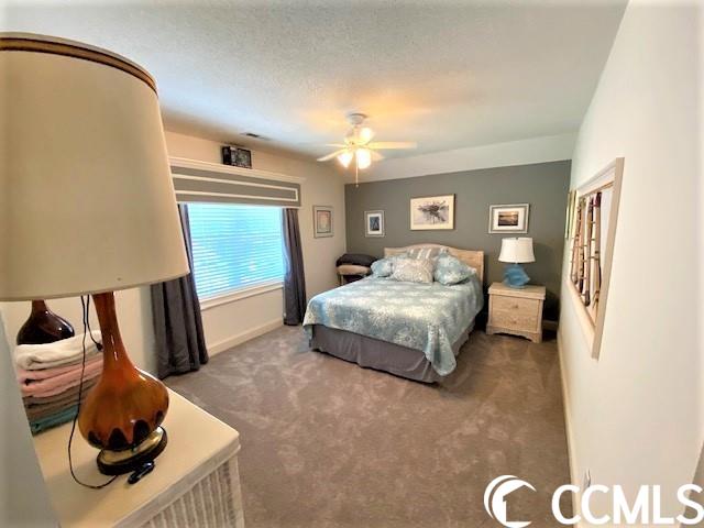 9616 Chestnut Ridge Drive Myrtle Beach, SC 29572 - Photo 19 of 37 Gallery Image 19
