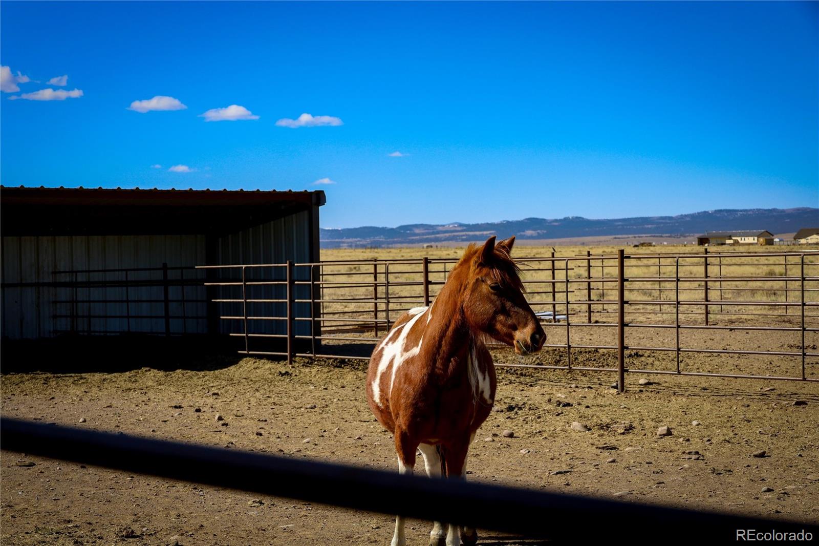 6729 County Road La Jara, CO 81140 - Photo 50 of 50