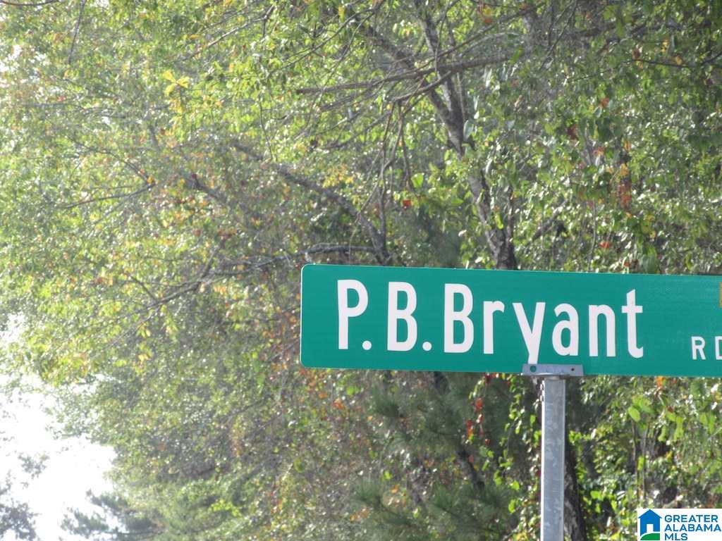 0 Paul Bear Bryant Road Alpine, AL 35014 - Photo 4 of 8