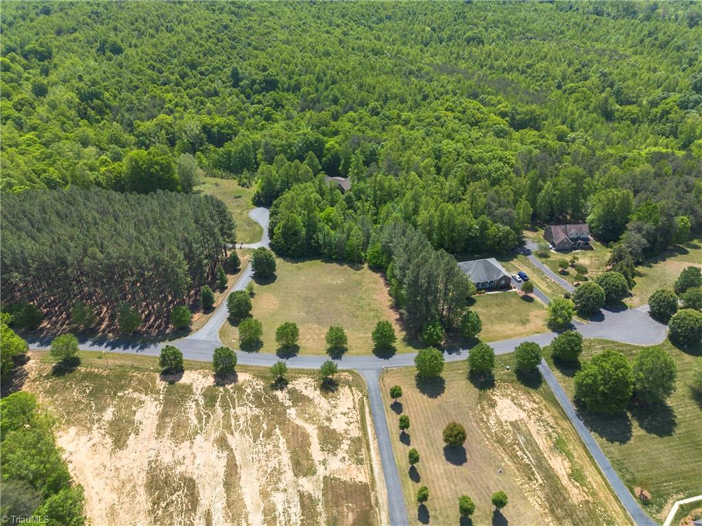 0 Mossdale Road Stoneville, NC 27048 - Photo 3 of 34