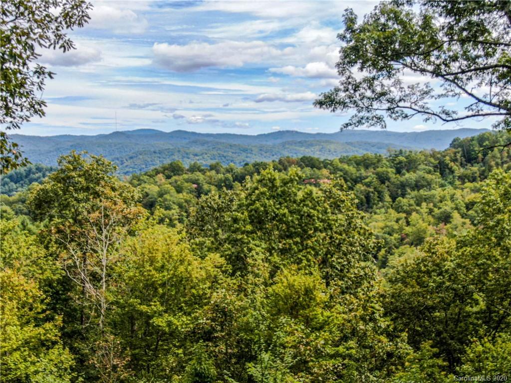 81 South Gray Fox Road Rosman, NC 28772 - Photo 27 of 33 Gallery Image 27