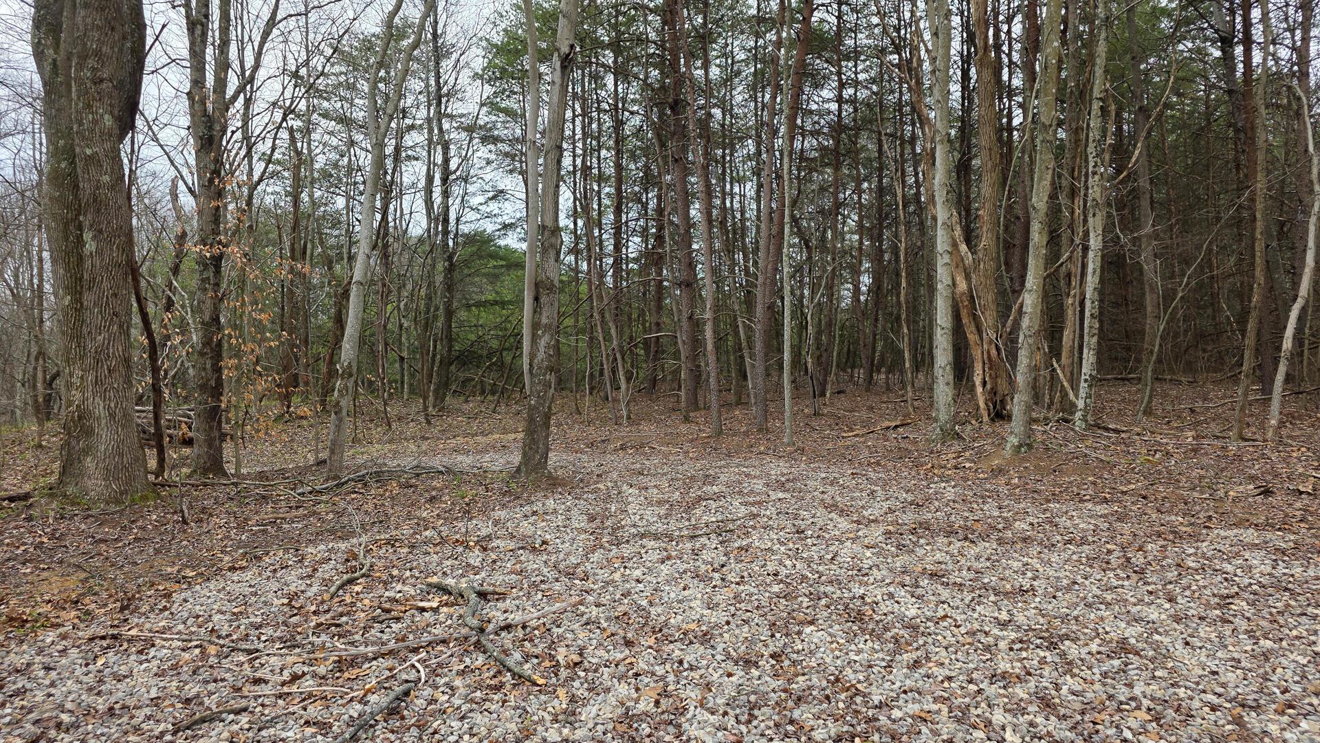 818 Campaign Poplar Road, Unit PONDS POPLAR RIDGE TRACT 4) Gallipolis, OH 45631 - Photo 18 of 24 CT-18