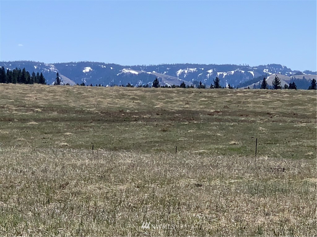 0 Wildhorse Road Adams, OR 97810 - Photo 22 of 37 a view of a big yard with a mountain