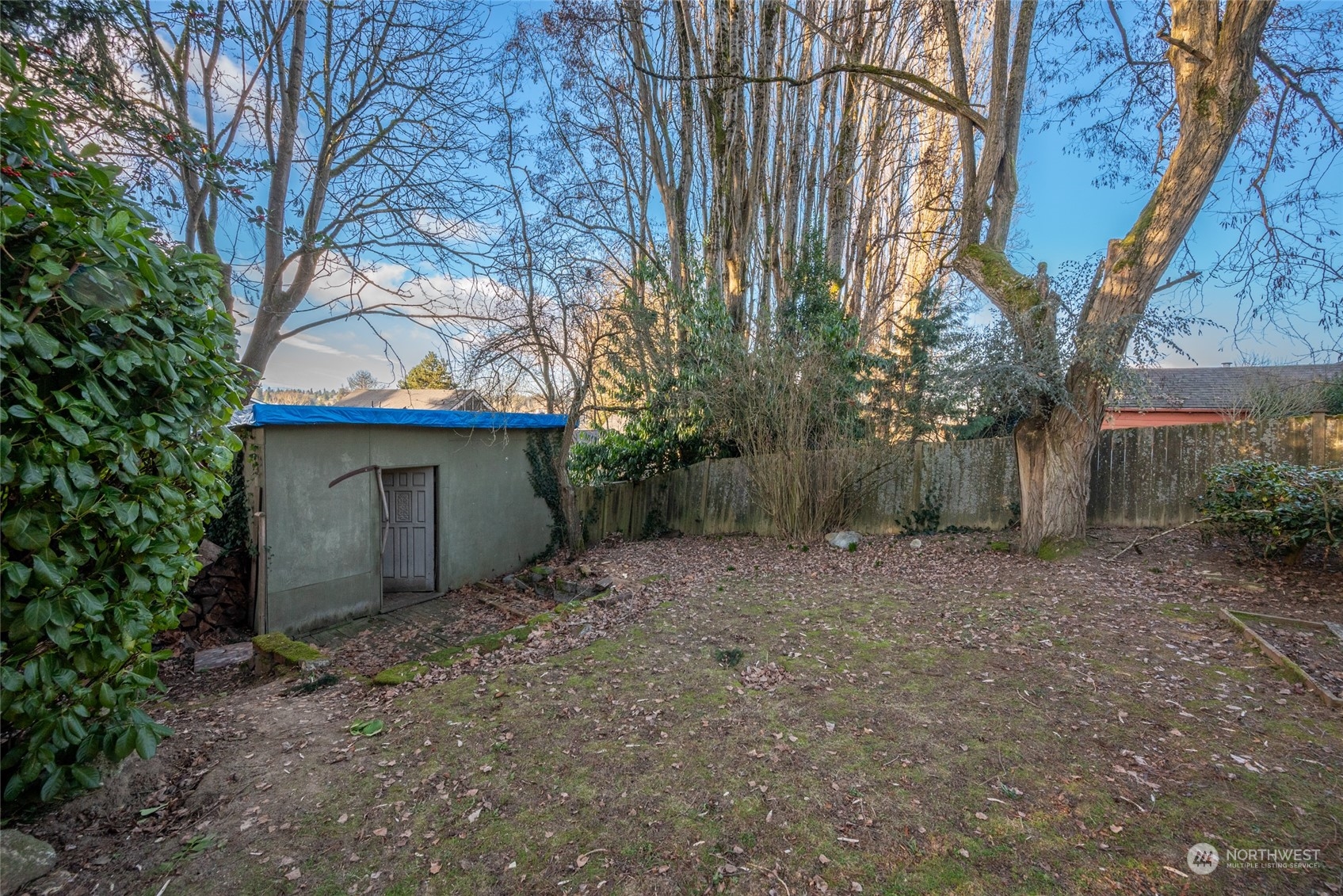 312 Northeast 95th Street Seattle, WA 98115 - Photo 34 of 37 a backyard of a house with large trees and wooden fence
