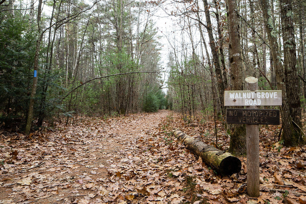 Tbd Long Swamp Road, Unit LOT 4 Berwick, ME 03901 - Photo 18 of 18 TBD Long Swamp, Lot 4, Berwick