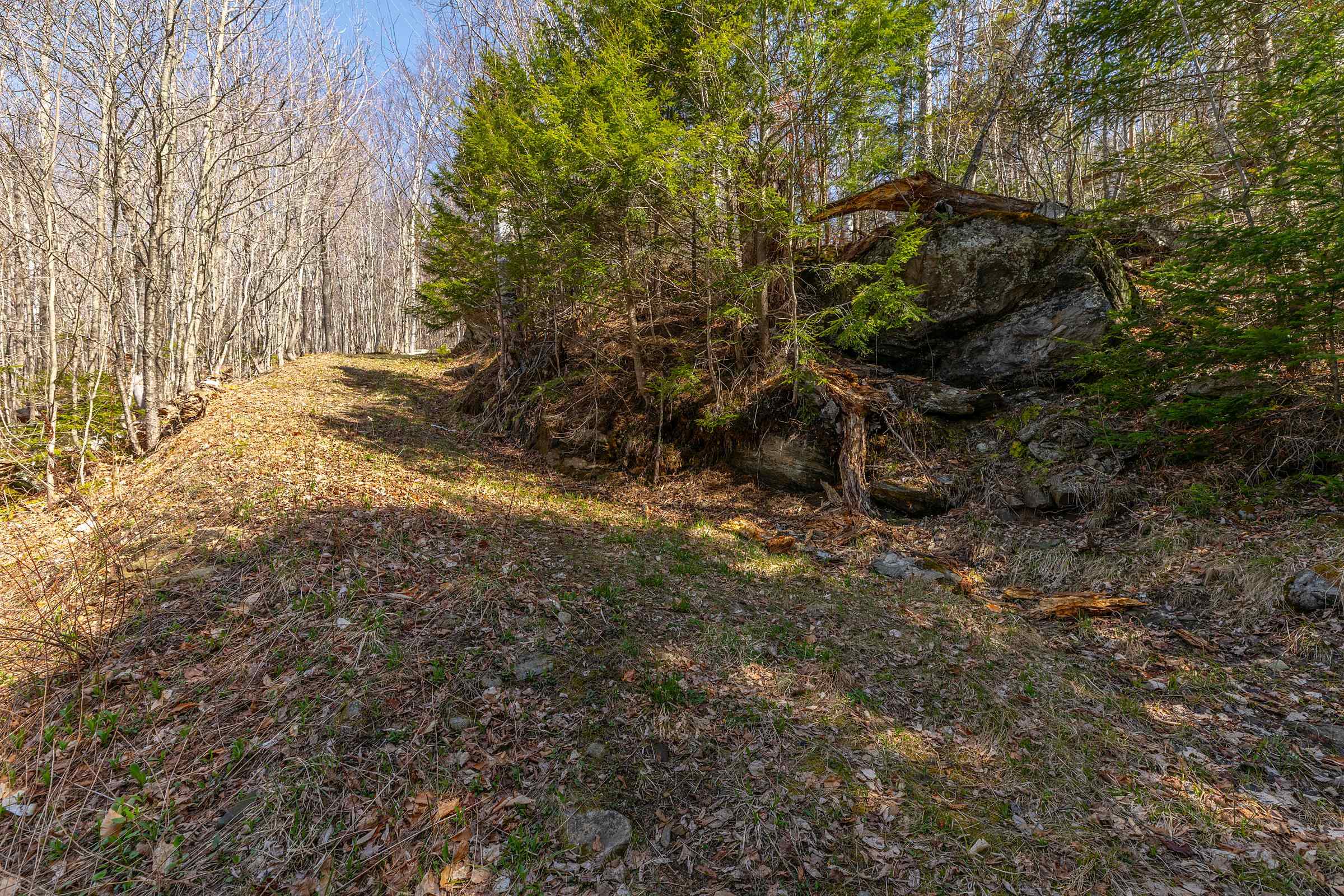 769 Straight Road Mount Holly, VT 05730 - Photo 41 of 59