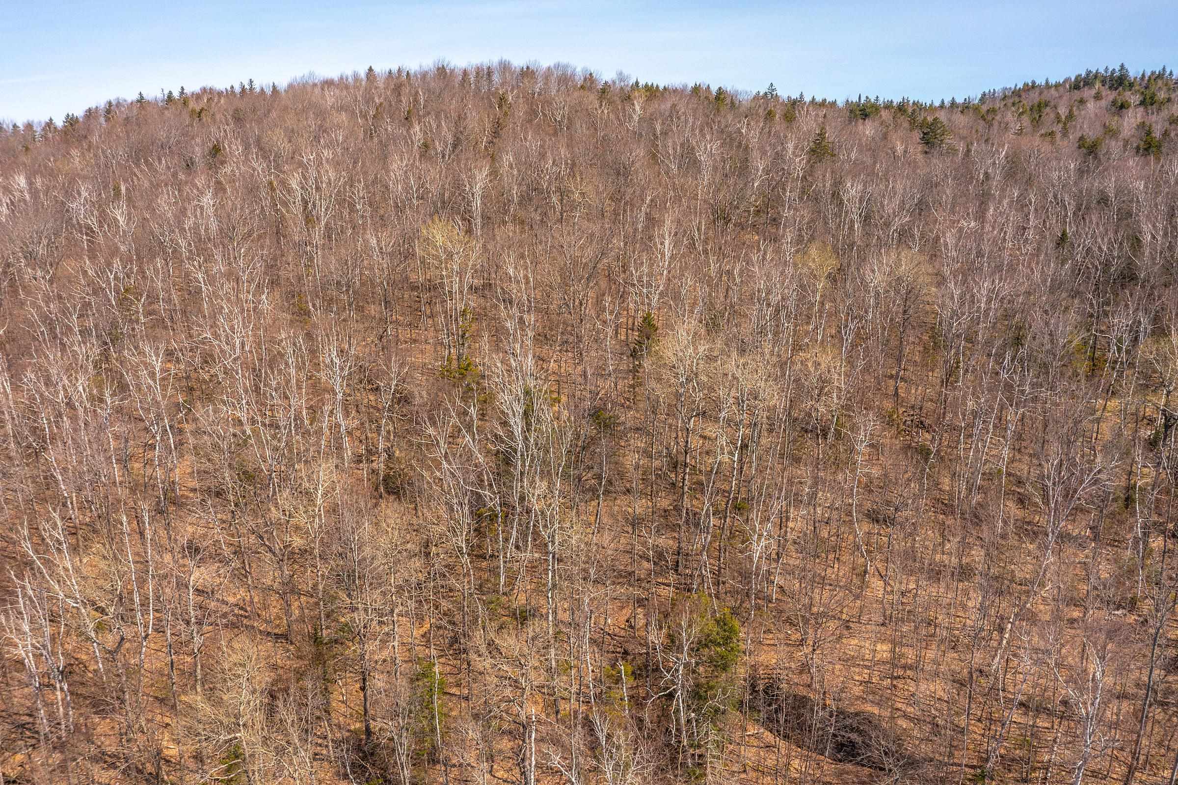 769 Straight Road Mount Holly, VT 05730 - Photo 50 of 59