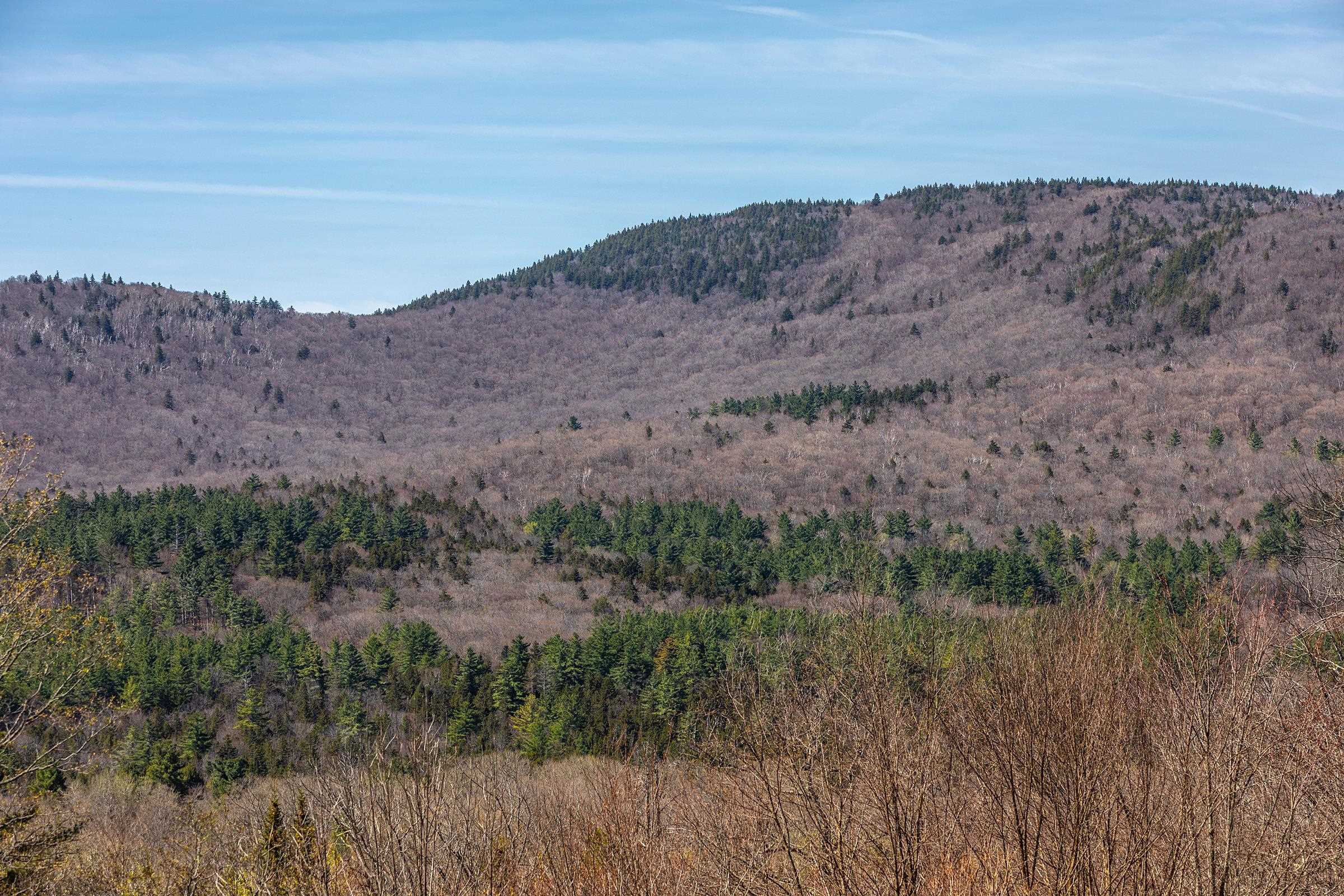 769 Straight Road Mount Holly, VT 05730 - Photo 7 of 59