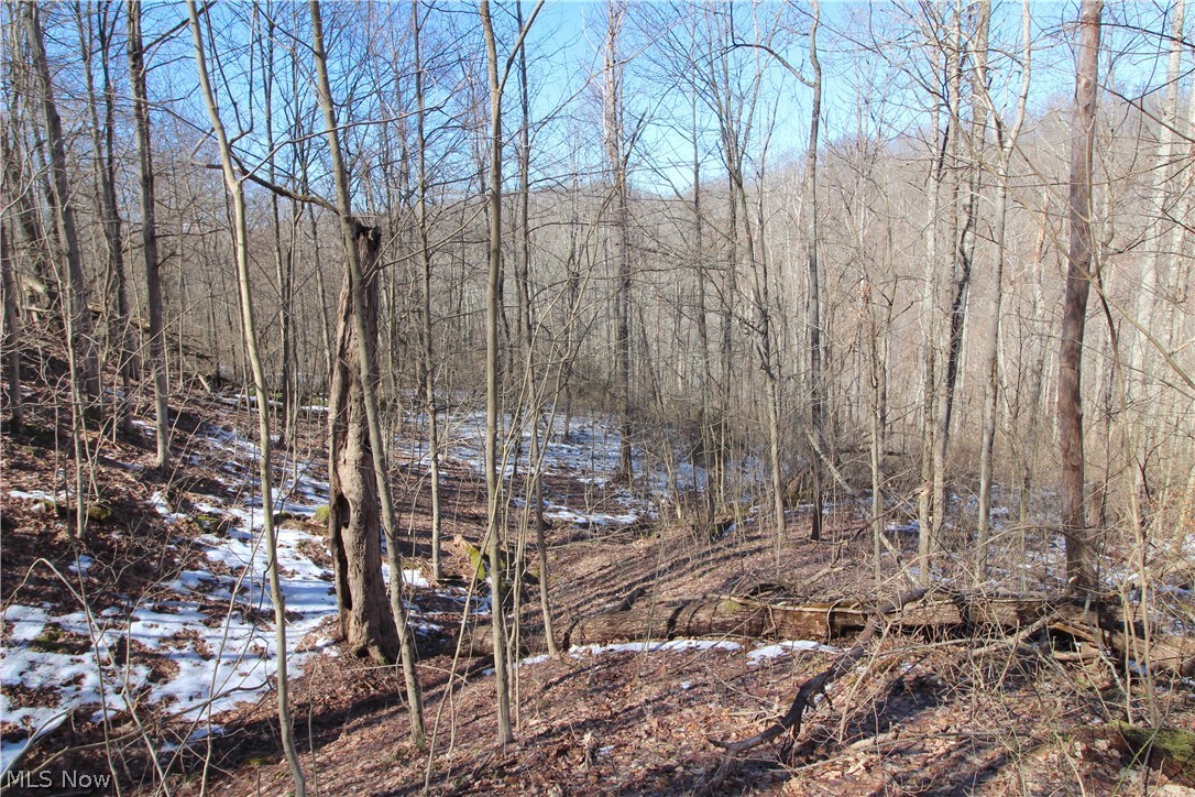 1770 Coon Run Road Lower Salem, OH 45745 - Photo 23 of 30 Gallery Image 23