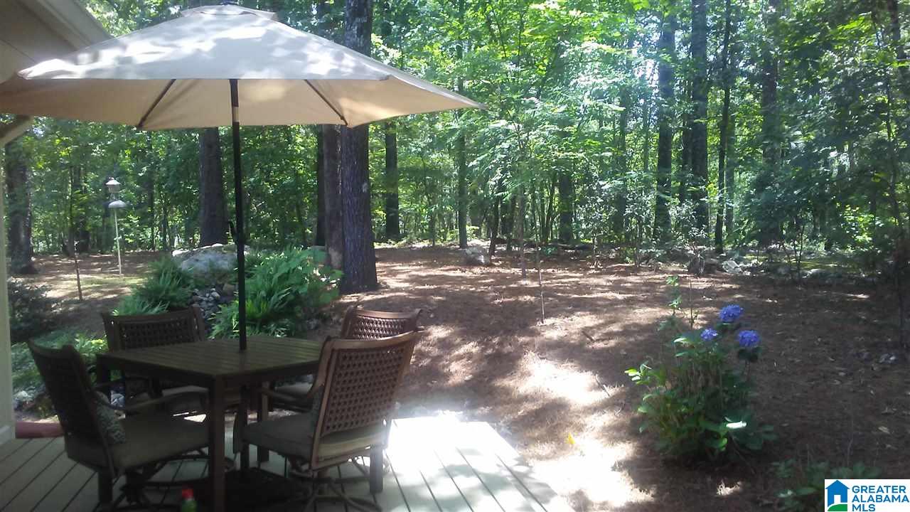 100 Waters Edge Drive Alpine, AL 35014 - Photo 48 of 50