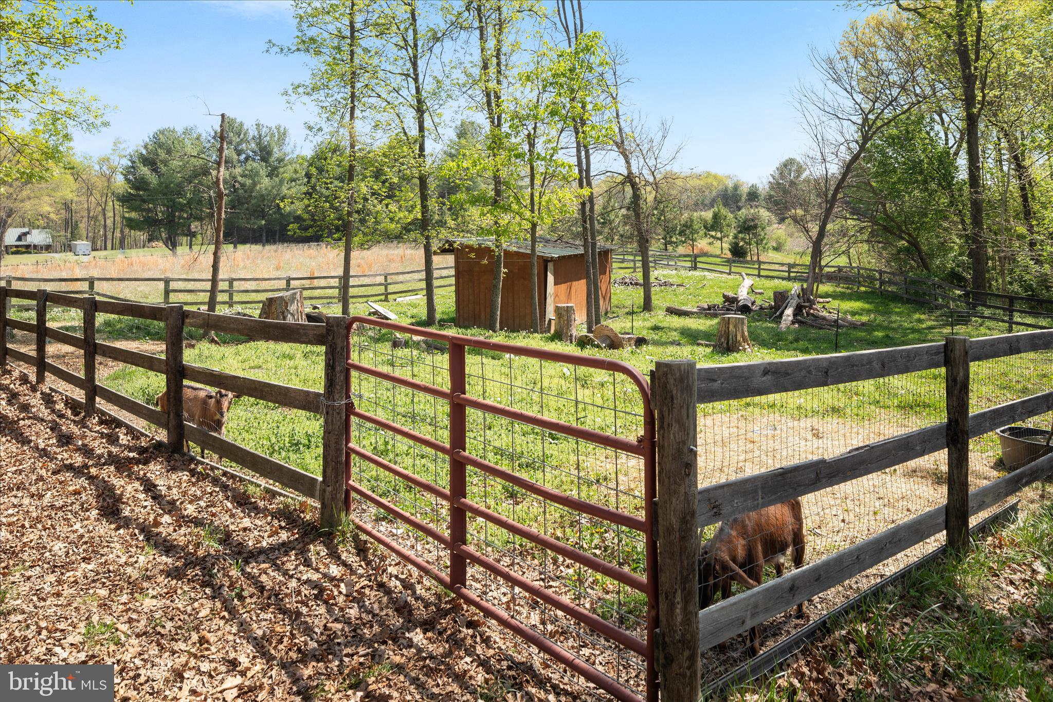 716 Gafia Lodge Road Middletown, VA 22645 - Photo 36 of 38