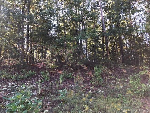 0 River Ridge Parkway, Unit 4 Rutherfordton, NC 28139 - Photo 4 of 6
