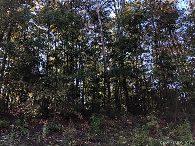 0 River Ridge Parkway, Unit 4 Rutherfordton, NC 28139 - Photo 6 of 6 a view of a tree