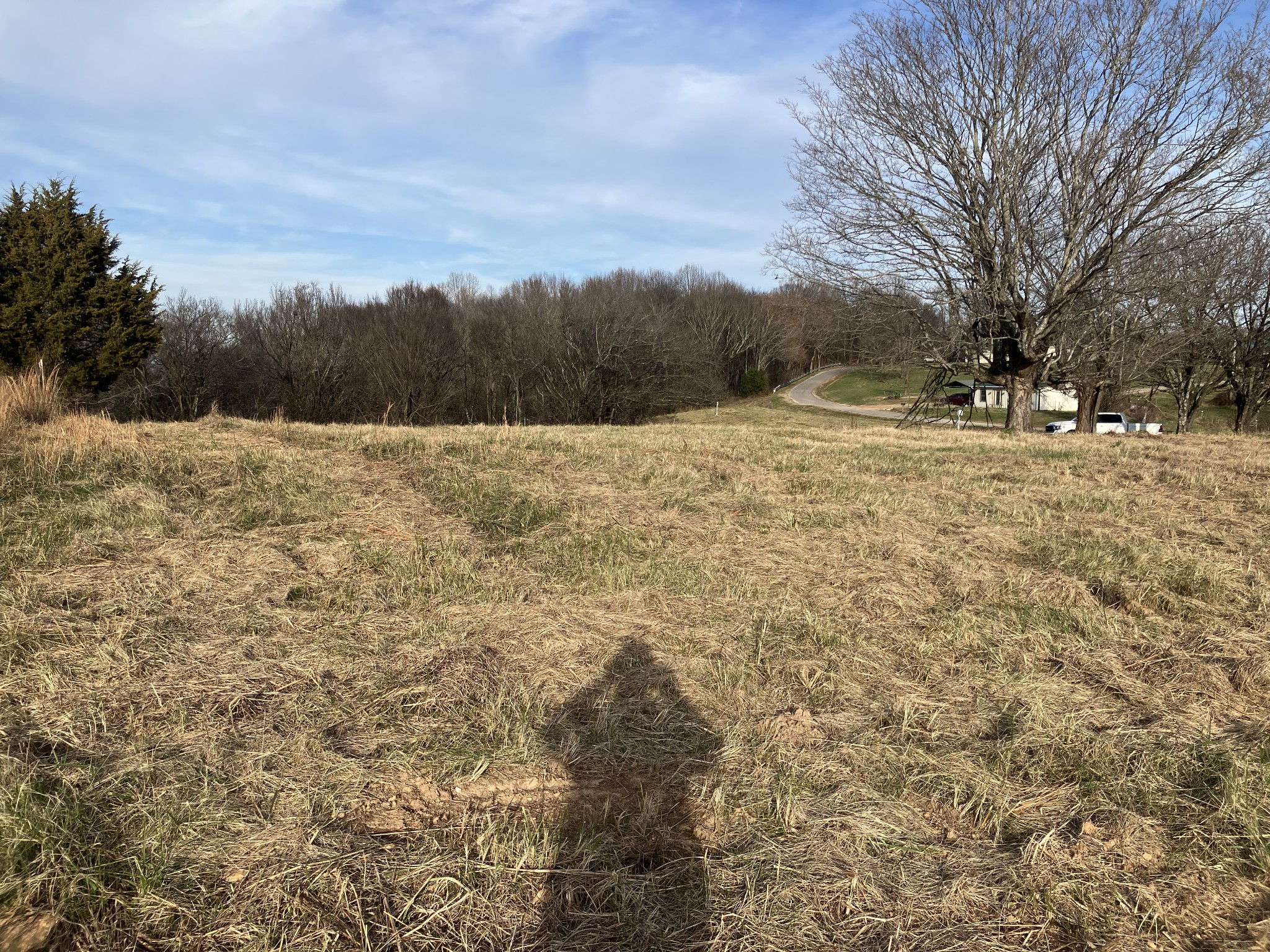 1 Diana Ridge Road Pulaski, TN 38478 - Photo 2 of 3 a view of a yard with trees