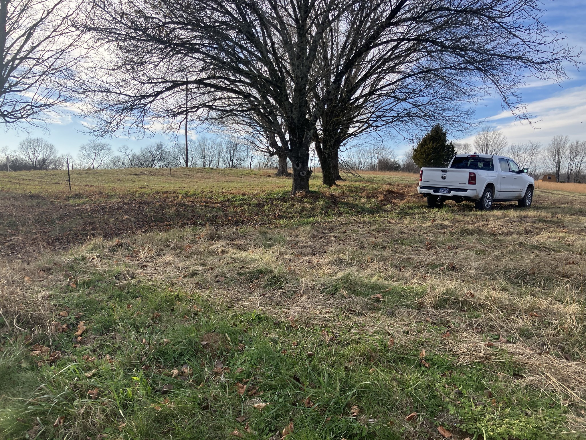1 Diana Ridge Road Pulaski, TN 38478 - Photo 3 of 3 a backyard of a house with a large tree