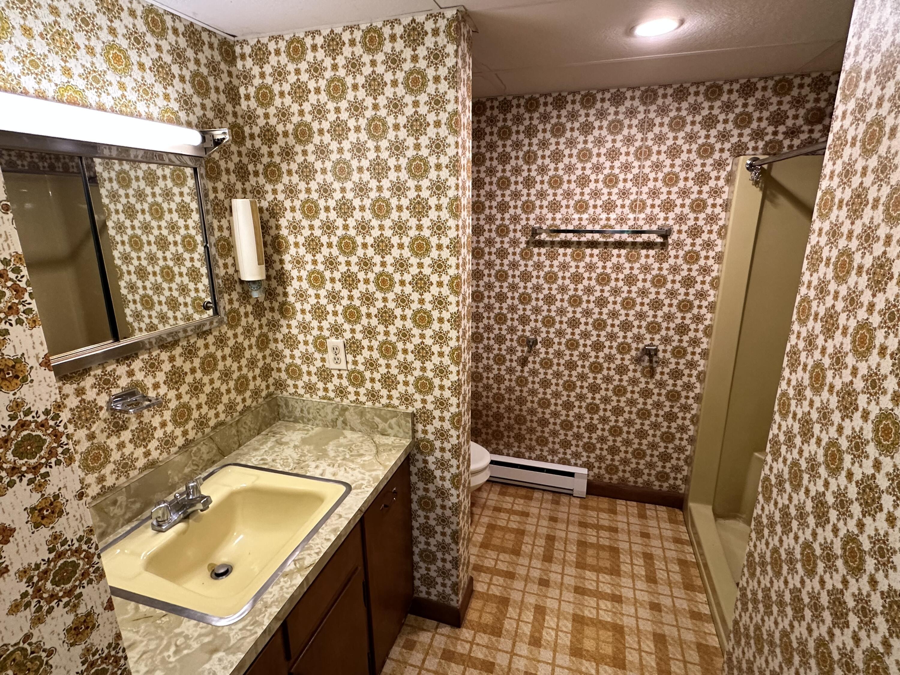 193 Jackson Hill Road Minot, ME 04258 - Photo 55 of 62 Lower Level Bathroom
