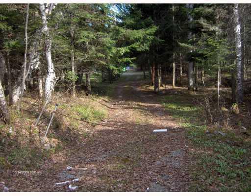 35 Hartland Road Rangeley, ME 04970 - Photo 6 of 8 Yard/Garden. Pretty driveway into camp.